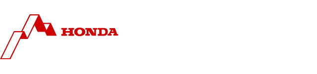 The Alpine Rider